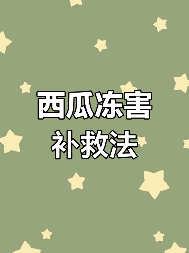 春季西瓜受冻?试试这些急救措施,让植株恢复生机!