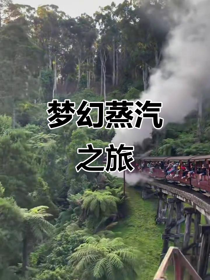 11月,百年蒸汽火车穿越森林,童话之旅!