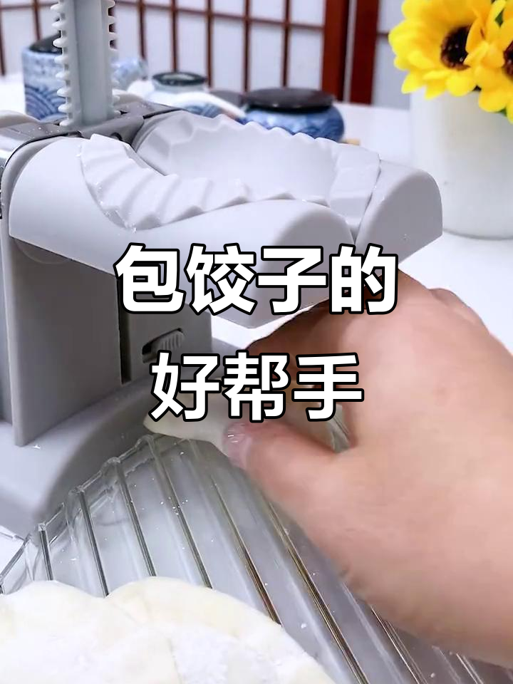 包饺子神器,简单一压,美味又省力!