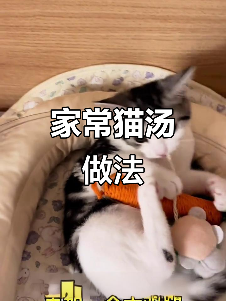 简单家常猫汤,甲鱼鸡腿一锅炖