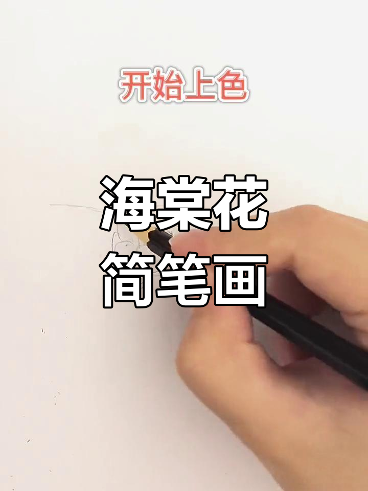 简单海棠花彩铅画教程