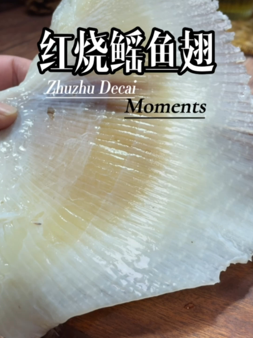 红烧鳐鱼翅