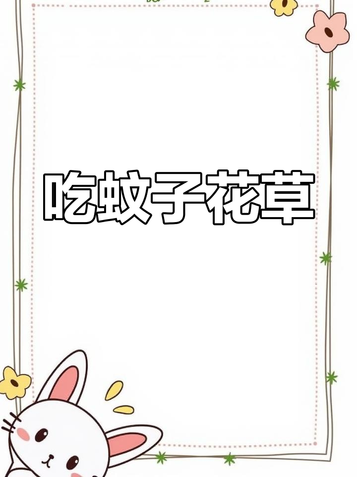 捕蝇草,夏日必备驱蚊神器