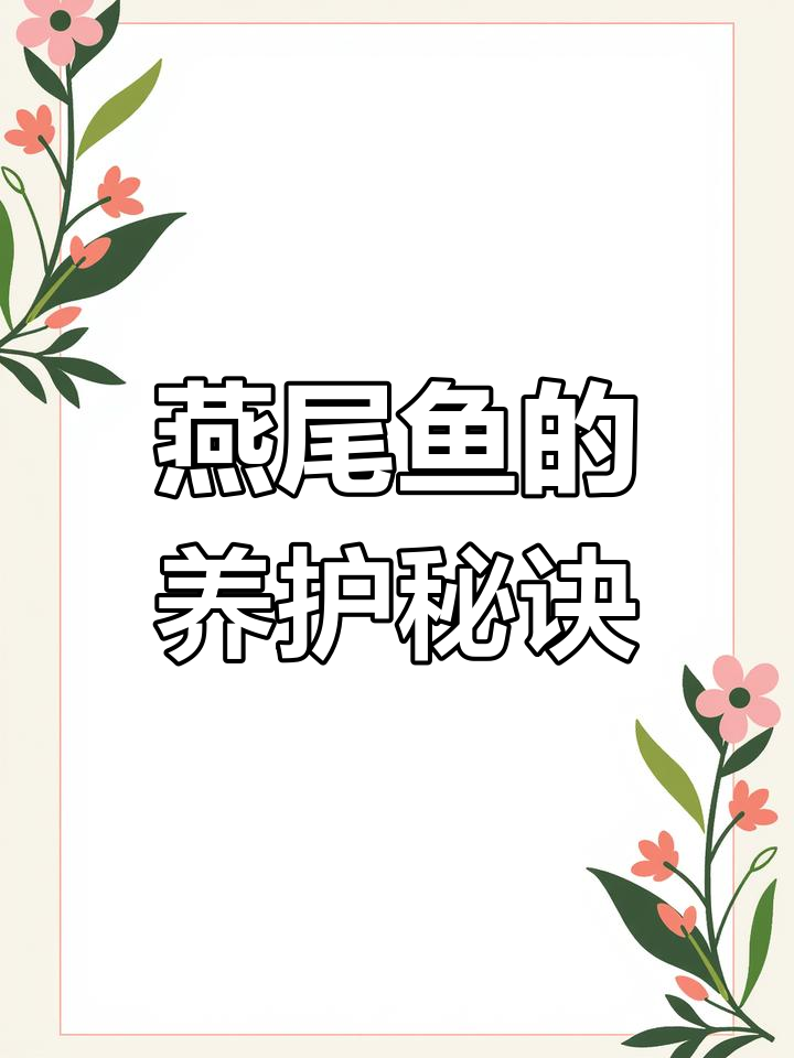 燕尾鱼养殖全攻略:水质、喂食与繁殖技巧