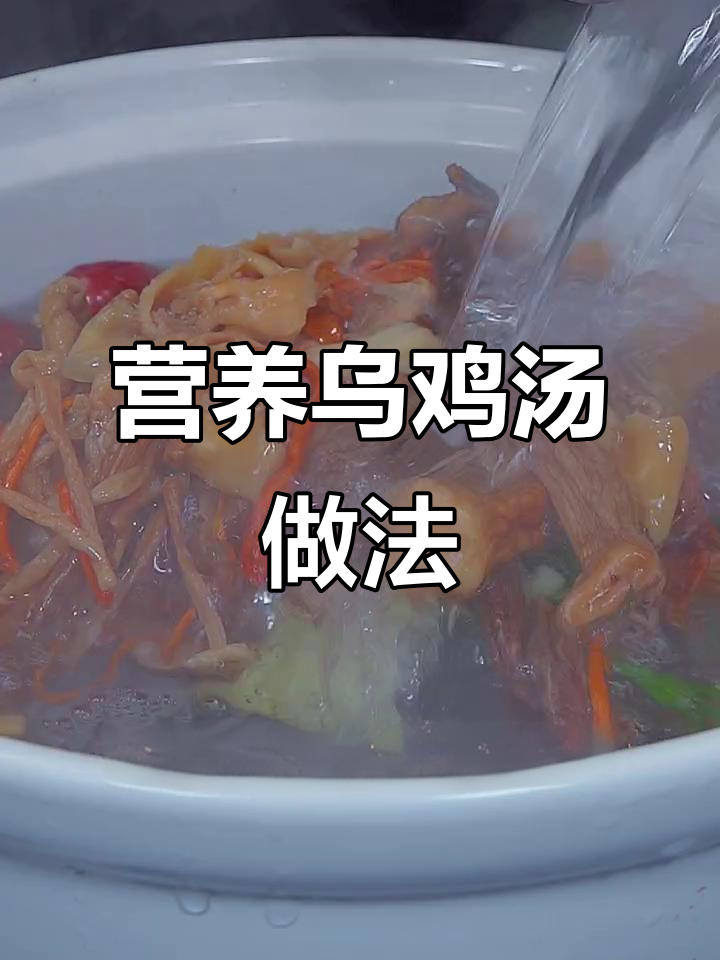 乌鸡汤炖法大揭秘,菌菇搭配让汤更鲜美