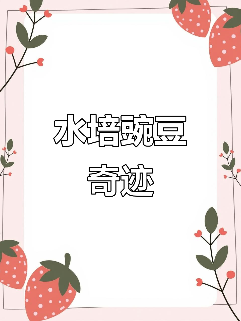 超市豌豆发芽,水培后竟结出豆荚!