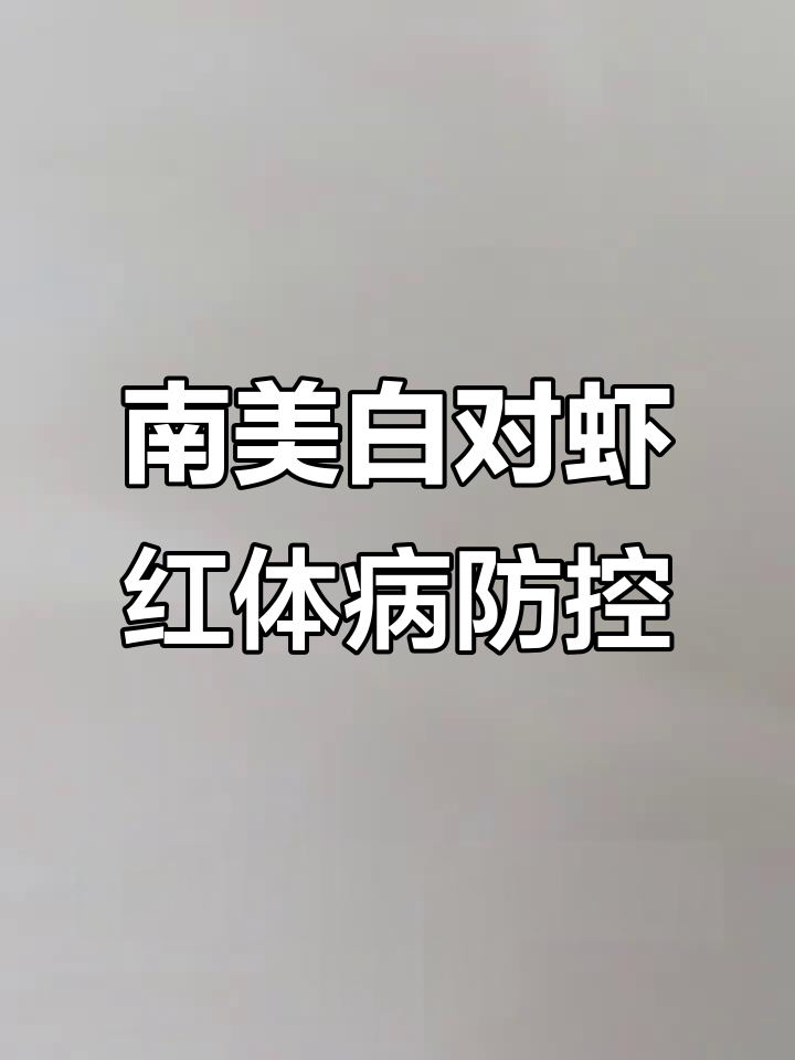 南美白对虾红体病三大类解析：如何预防与应对