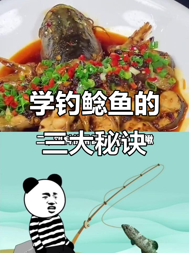 夏季钓鲶鱼技巧大揭秘,轻松掌握拖动逗钓法