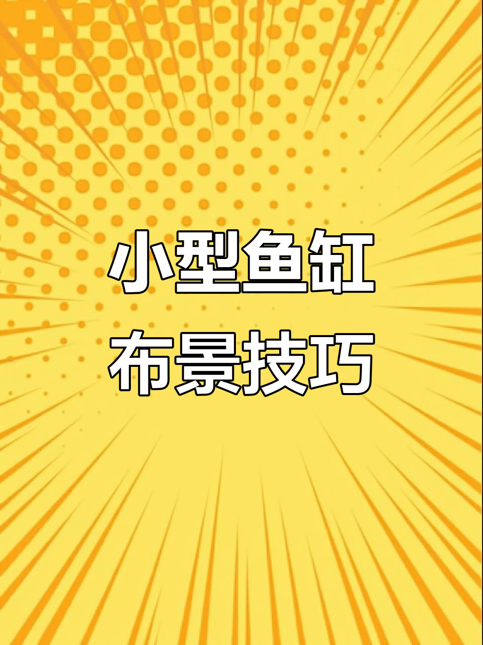 1.5米鱼缸造景全攻略,打造年轻人的第一款水族箱