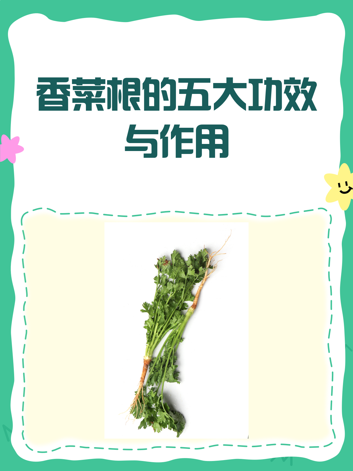 香菜根居然这么有用？别再随手扔啦！