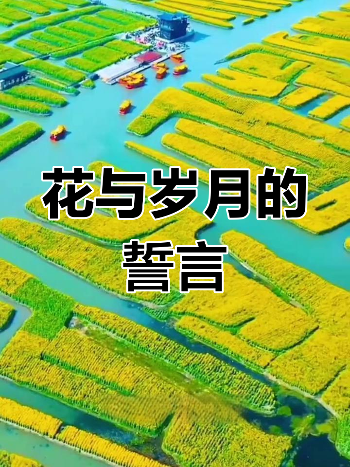 春花常开,岁月如初,约定始终不变