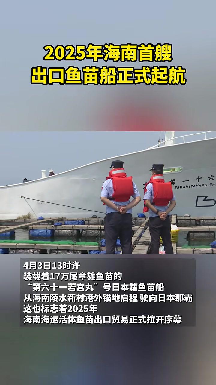 2025年海南首艘出口鱼苗船正式起航 海南