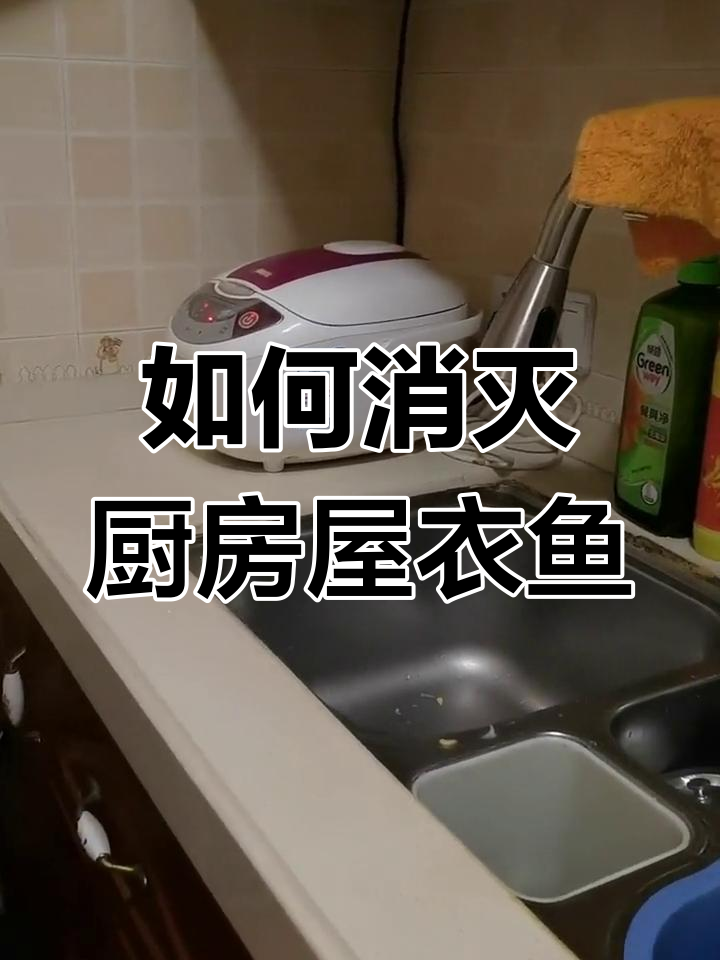 厨房衣鱼虫成灾?教你彻底清除小侵略者