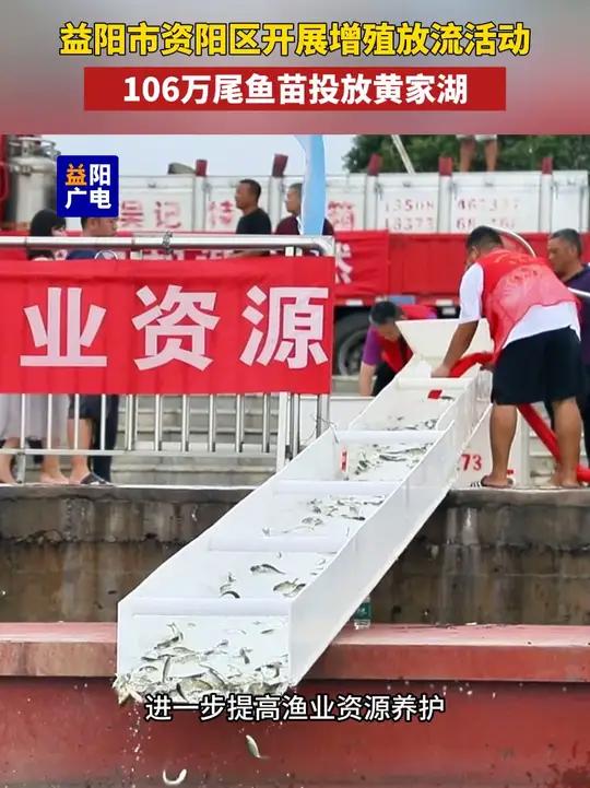 8月12日上午,益阳市资阳区在黄家湖码头开展2025年中央资金渔业增殖放流活动,现场投放青