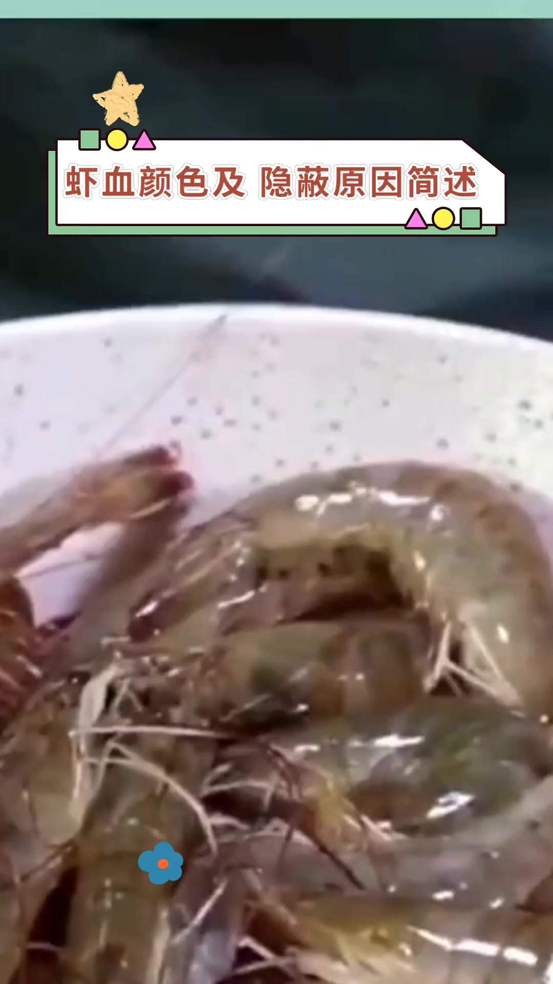 虾血颜色及 隐蔽原因简述
