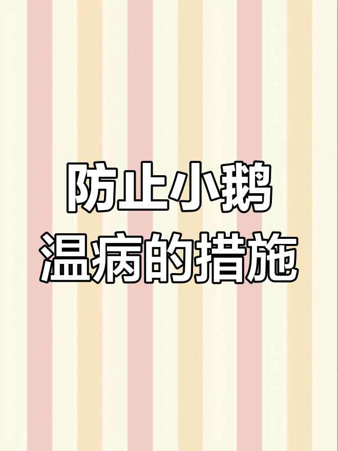 小鹅温病防治全攻略:如何应对细小病毒感染