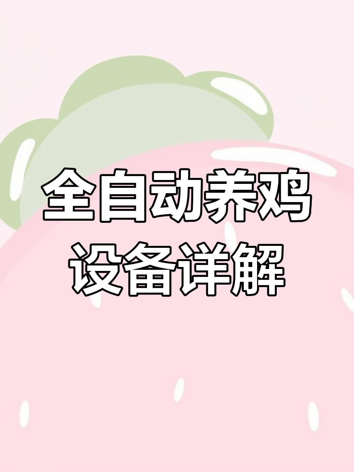 自动化蛋鸡养殖设备全解析:笼具、喂料、清粪一应俱全