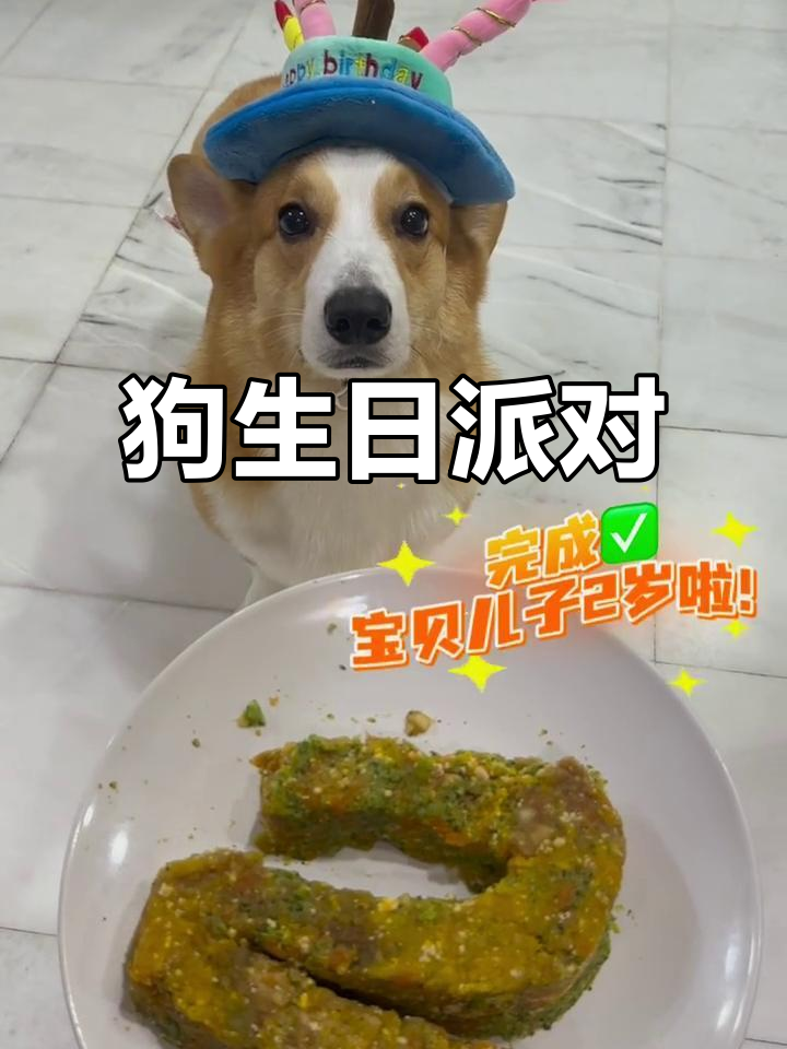 第一次做狗狗蛋糕,竟然成功了!简单又健康,超有趣