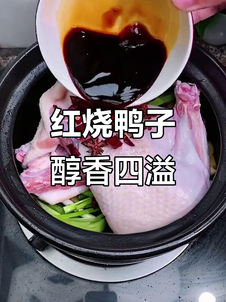 砂锅红焖鸭,香气扑鼻让人无法抗拒