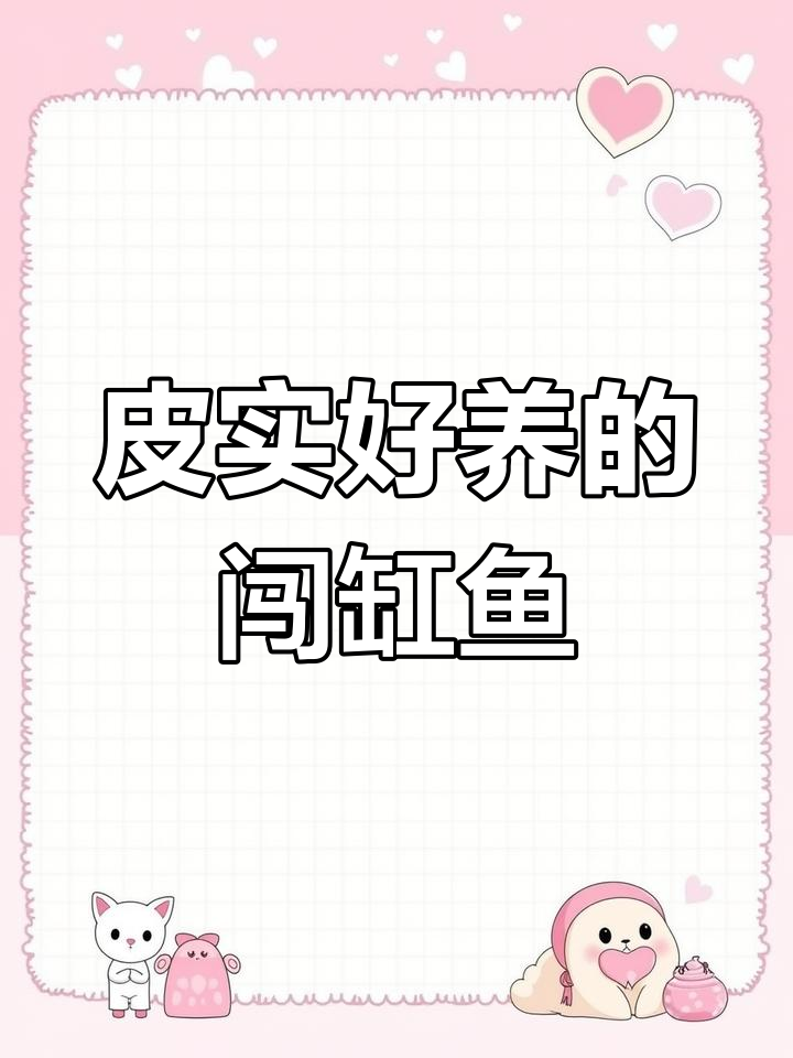 双线鲫:群游观赏鱼推荐