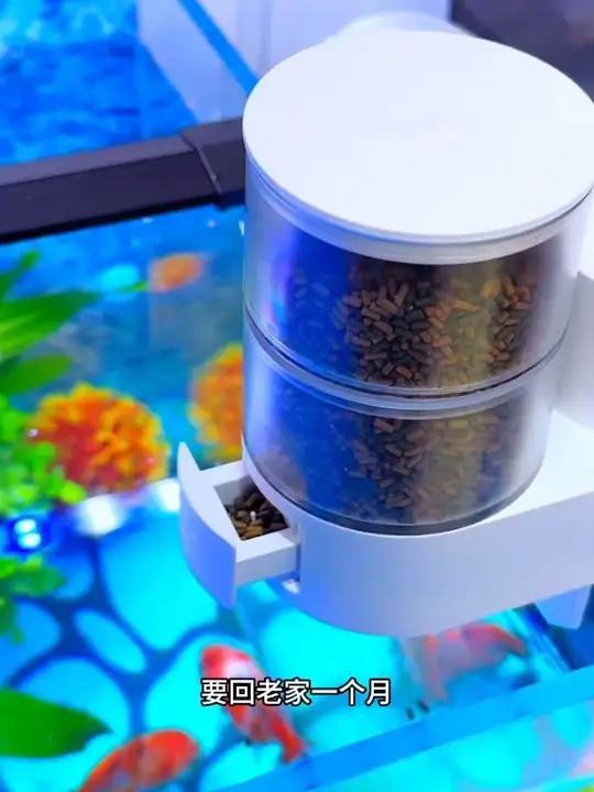 鱼缸自动喂食器 深度测评，你能想到的功能他都有，一步到位了