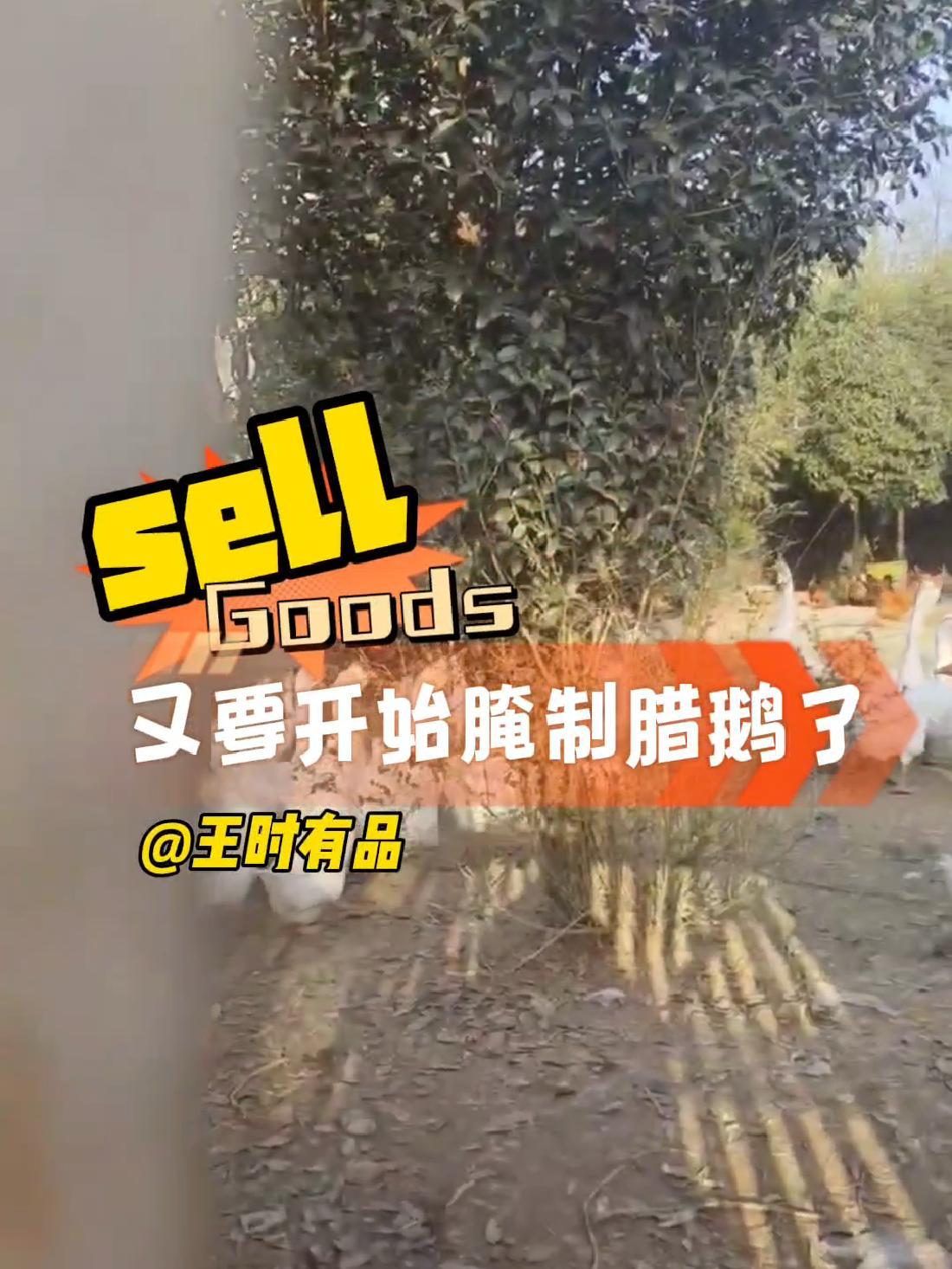 创作灵感 宝藏餐厅藏不住 又一批老鹅开始宰杀,纯手工腌制腊鹅,喜欢吃的可以微我 真材实料才