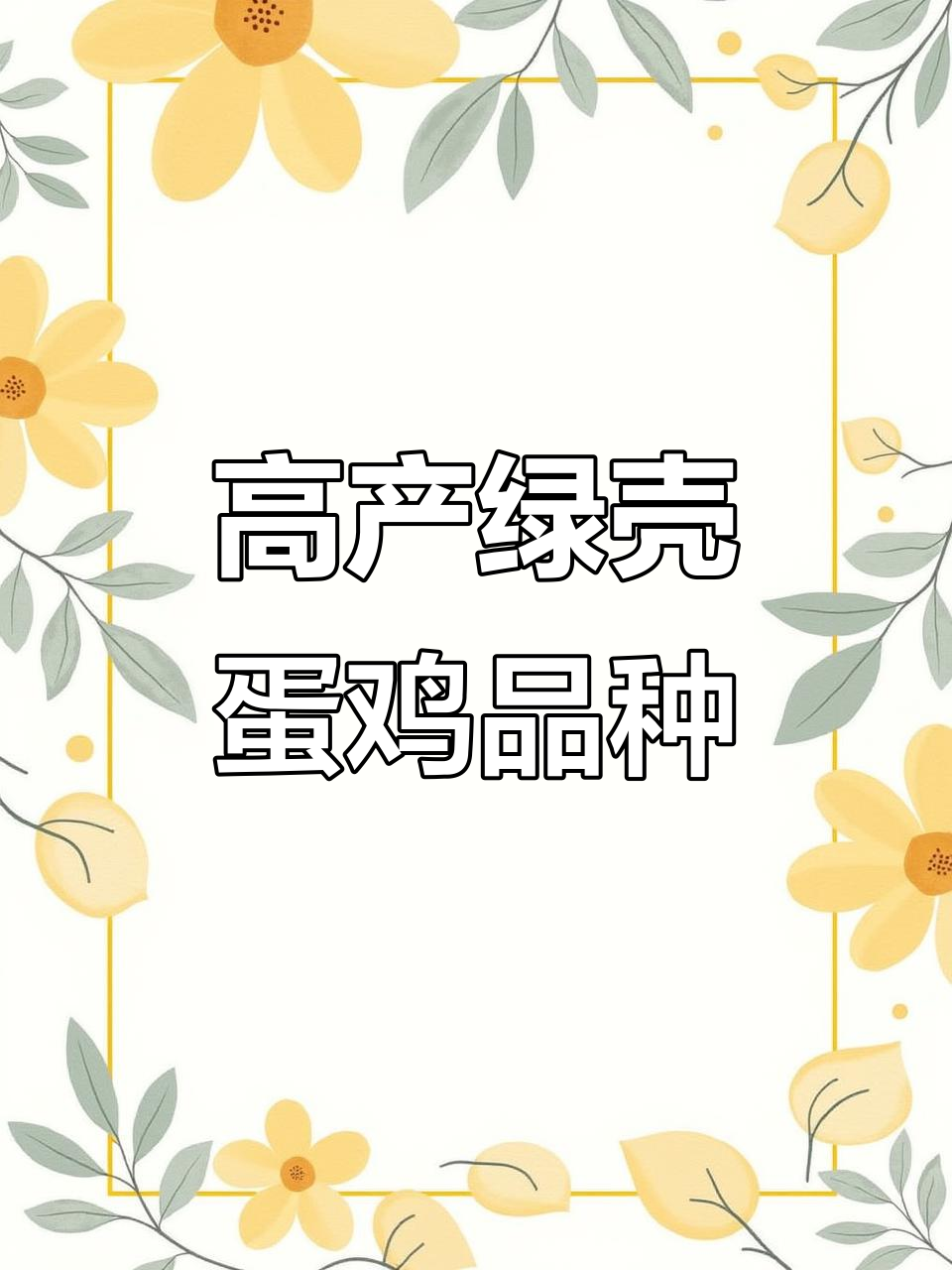 瓦灰鸡、五黑鸡与高产麻羽，绿壳蛋鸡品种全解析
