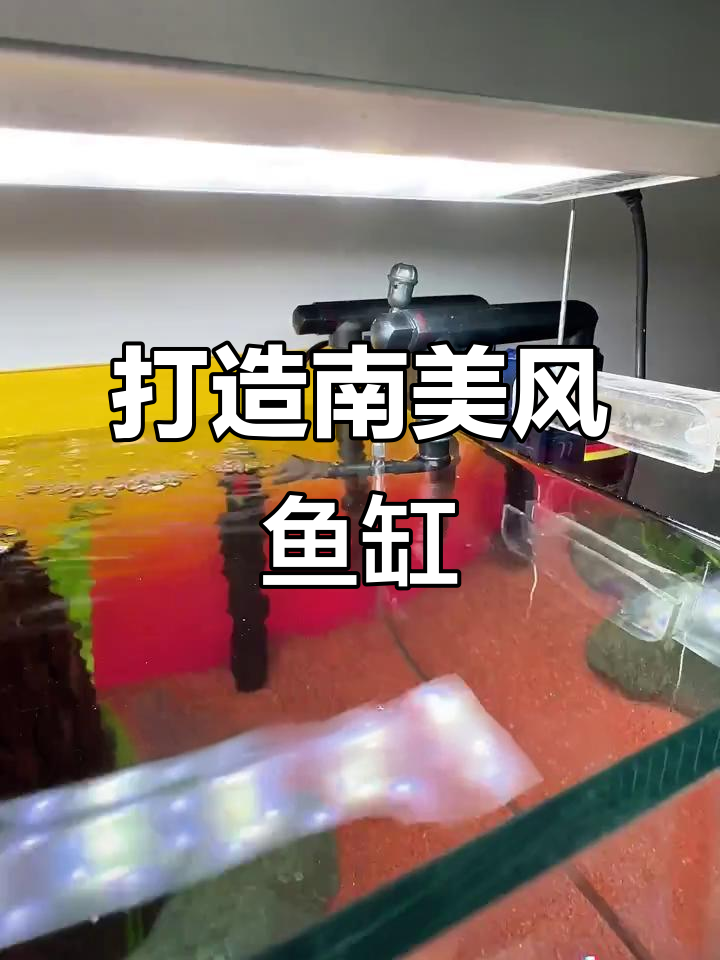 南美风格鱼缸造景全流程，沉木、石头与水草完美搭配