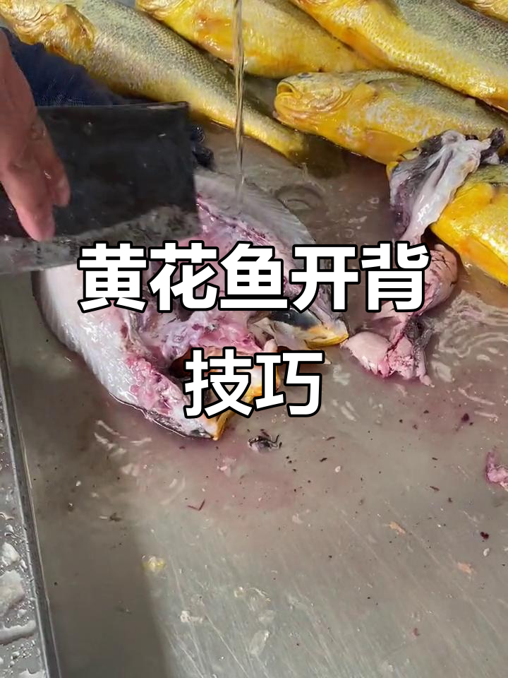 十年磨一手,黄花鱼开背技艺非一日之功