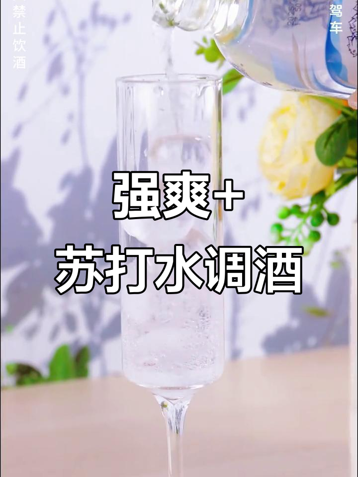 夏日微醺必备!强爽鸡尾酒加苏打水,气泡十足更清爽