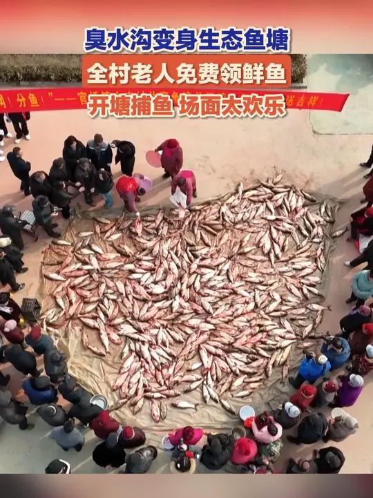 2月10日,农历小年,山东枣庄,滕州市官桥镇史庄村举行开塘活动,以前废弃臭水沟变成的生态鱼