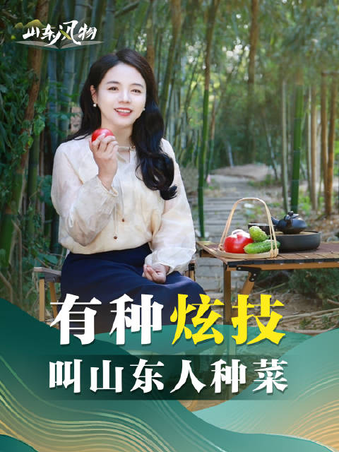 有种炫技叫山东人种菜「山东风物|有种“炫技”,叫山东人种菜」山东版菜博棚克 常年占据中国蔬