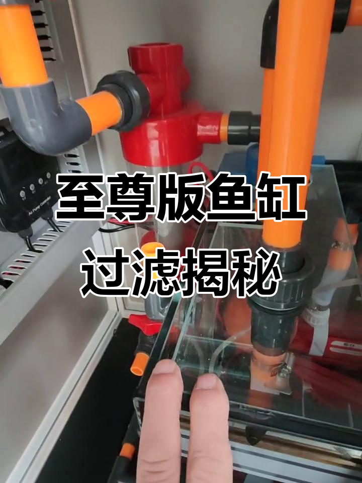 鱼缸过滤系统全解析:静音、高效,细节决定成败