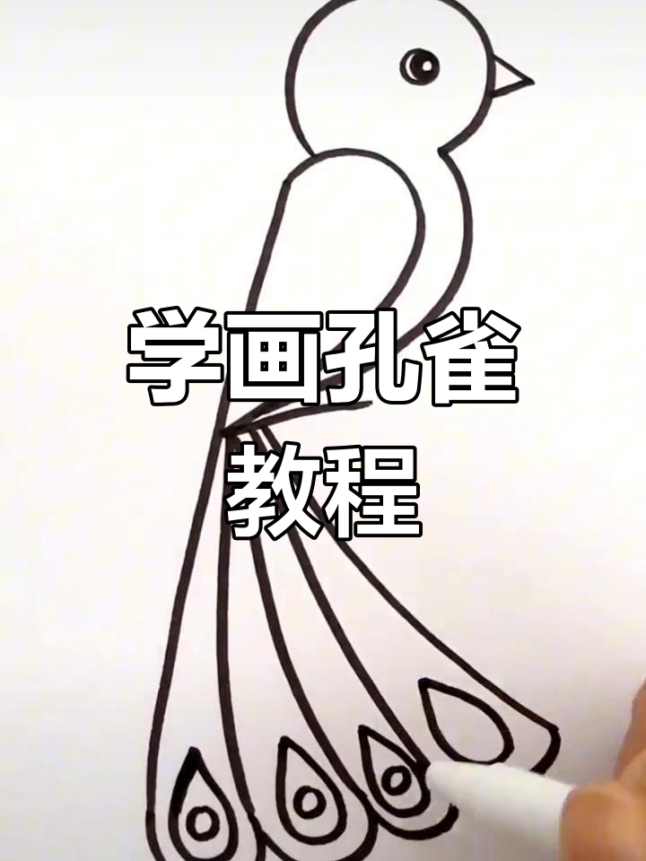 跟着抖音学画孔雀,简单步骤教你画出美丽羽毛