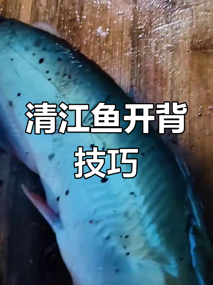 完美开背清江鱼,烤制技巧大揭秘
