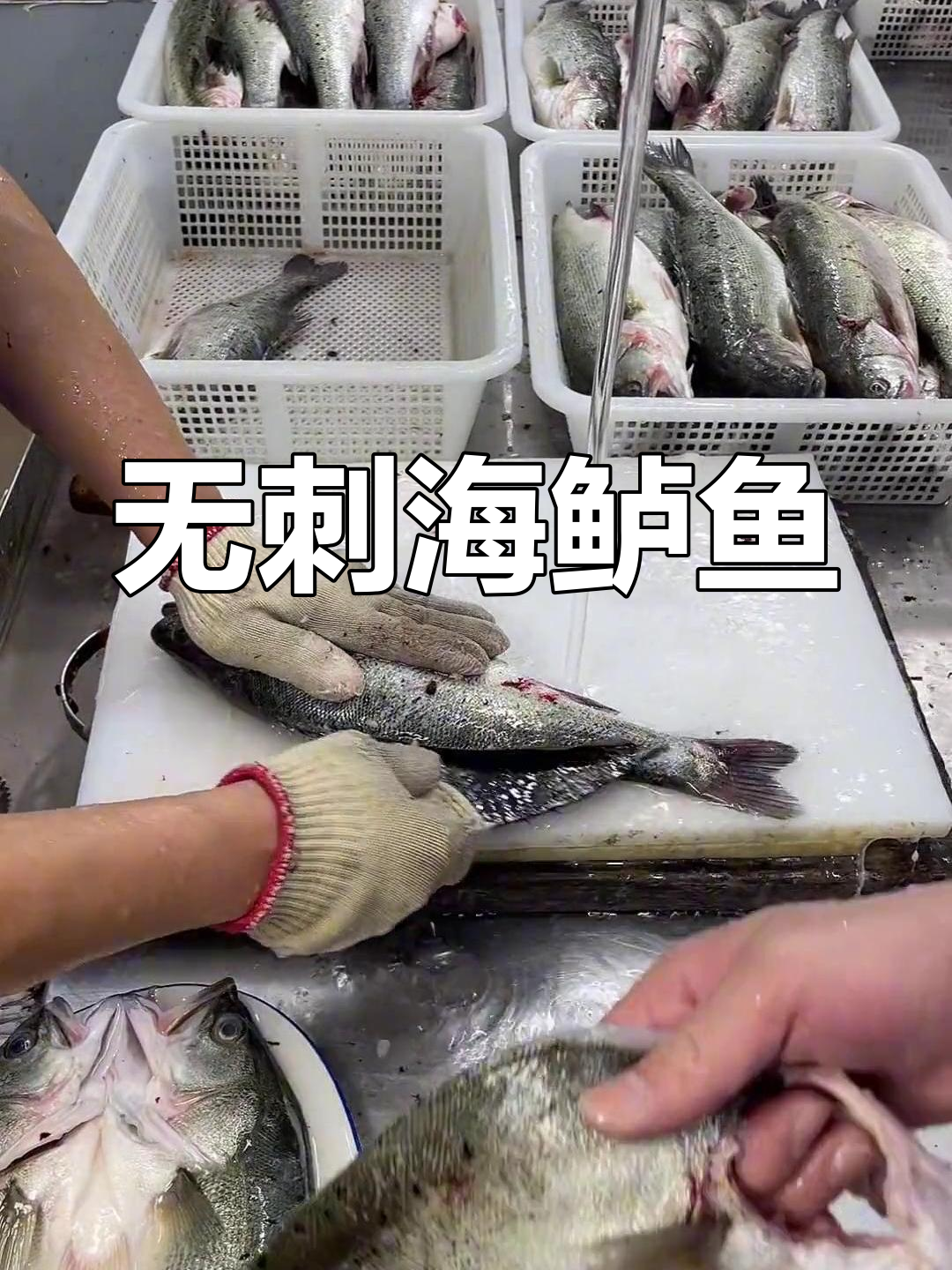 深海鲈鱼,宝宝也能安心吃