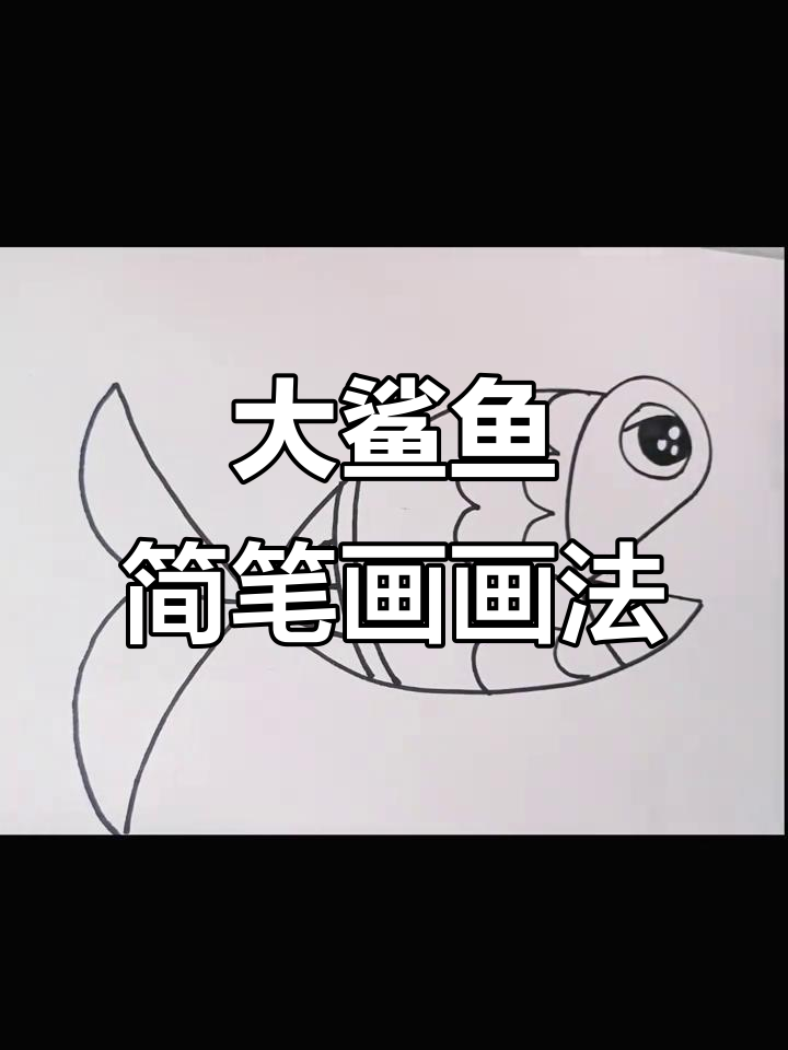 创意符号简笔画:大鲨鱼来袭,画出海底霸主