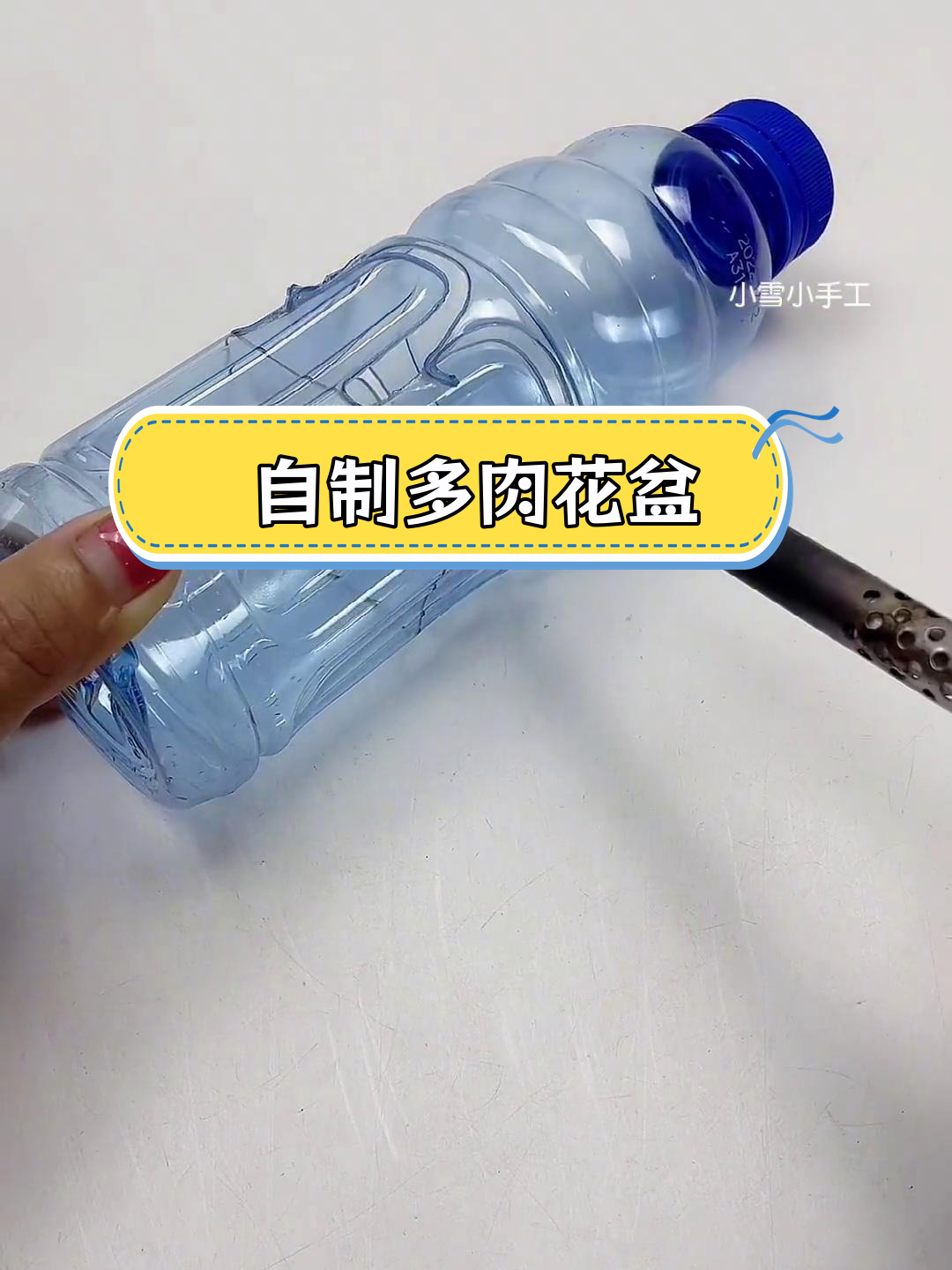 废瓶子变多肉花盆,轻松DIY