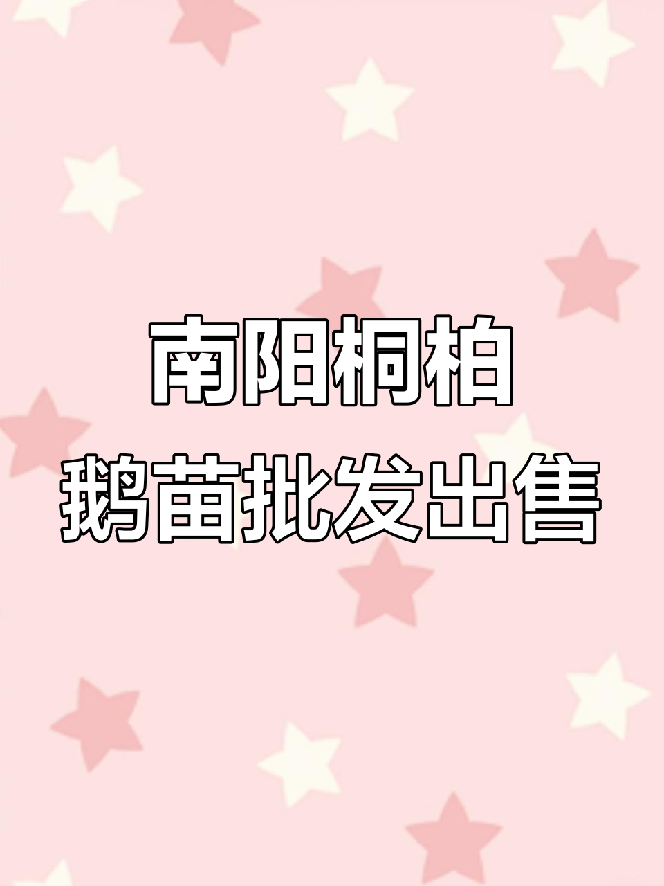 河南南阳桐柏县鹅苗批发,养殖技术上门指导