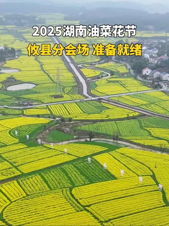 湖南油菜花节,攸县准备好啦!