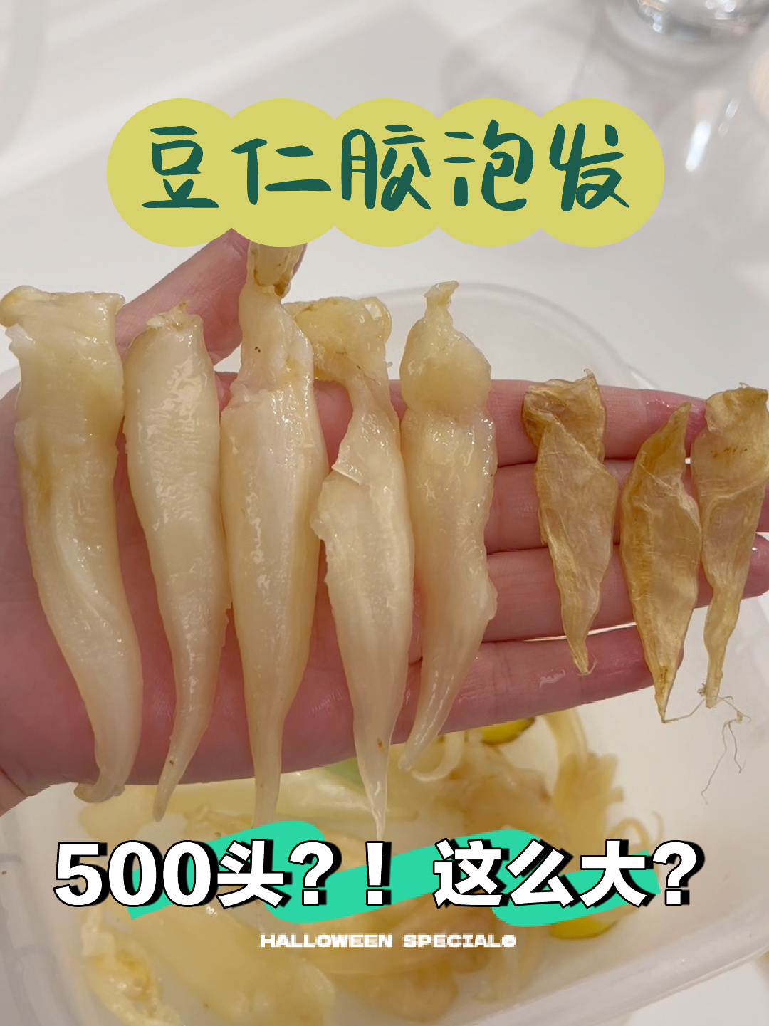 鱼胶泡发方法,500头豆仁胶又大又厚的秘诀