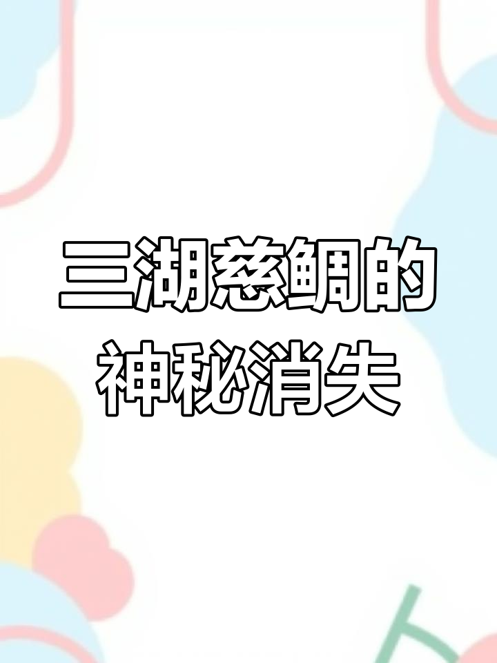三湖慈鲷库存惊人,却连气头都不见?