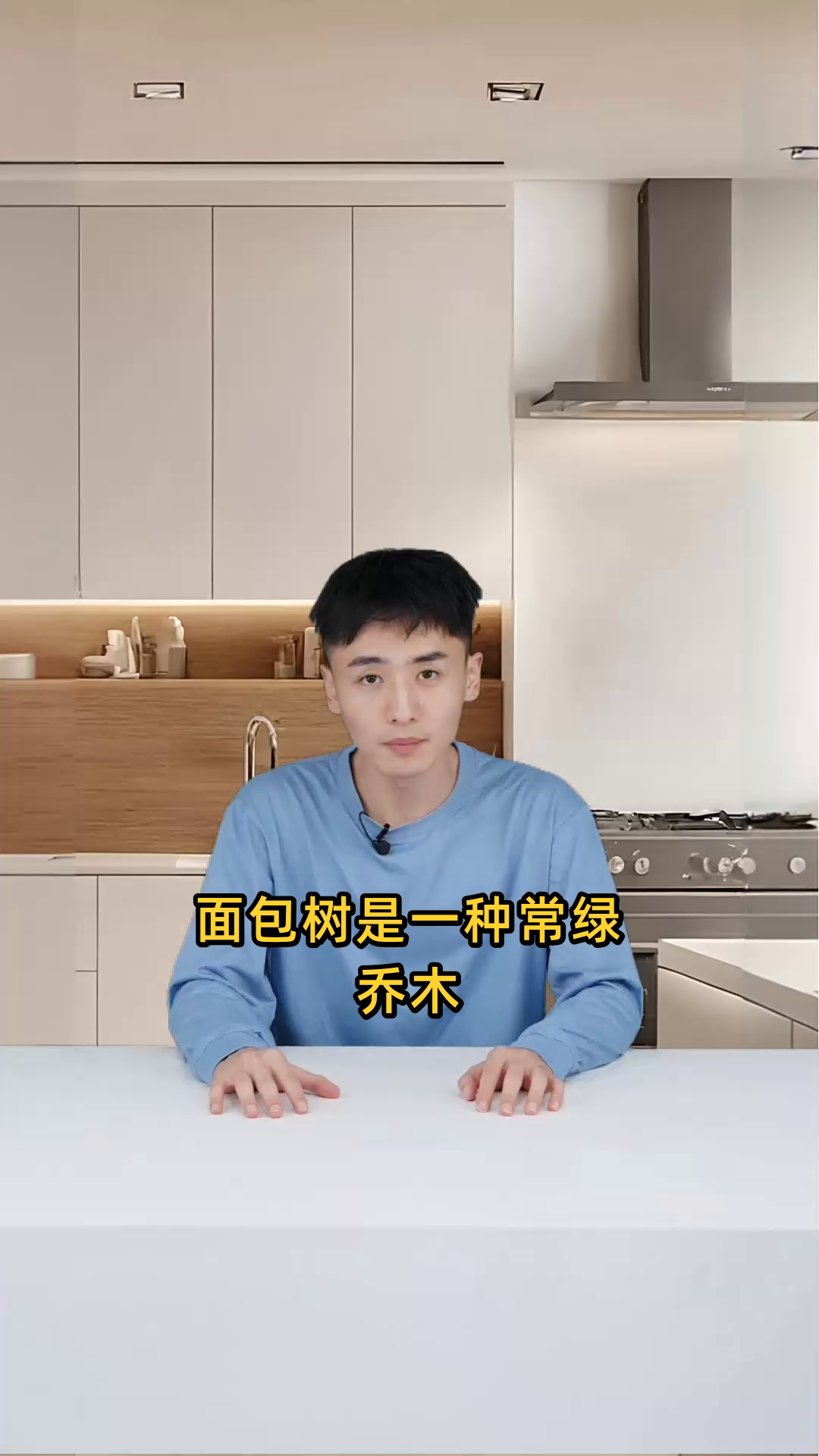 面包树：常绿乔木，原产热带，果实富含淀粉，可食用，木材轻软