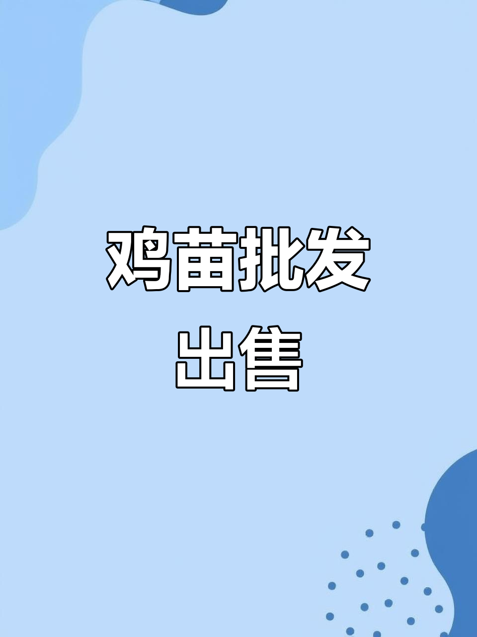 优质鸡苗批发,助力养殖事业更上一层楼
