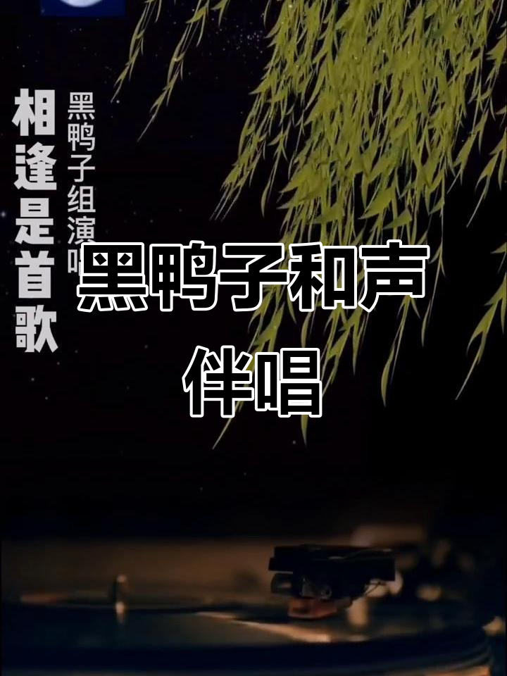 黑鸭子合唱团演绎经典歌曲,完美伴奏让你沉醉其中