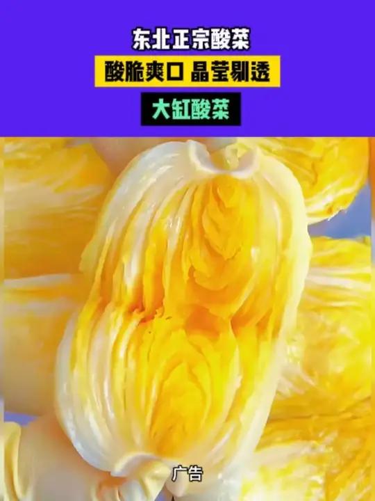 今年的新鲜酸菜出缸啦，采用东北的黄心大白菜积制的，脆内酸爽！老地道了～东北特产酸菜大缸酸菜