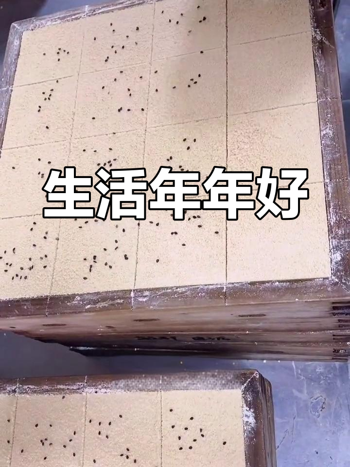 芝麻松糕,寓意生活蒸蒸日上