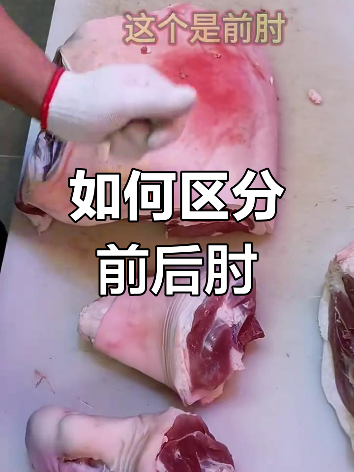 前后肘肉的区别解析