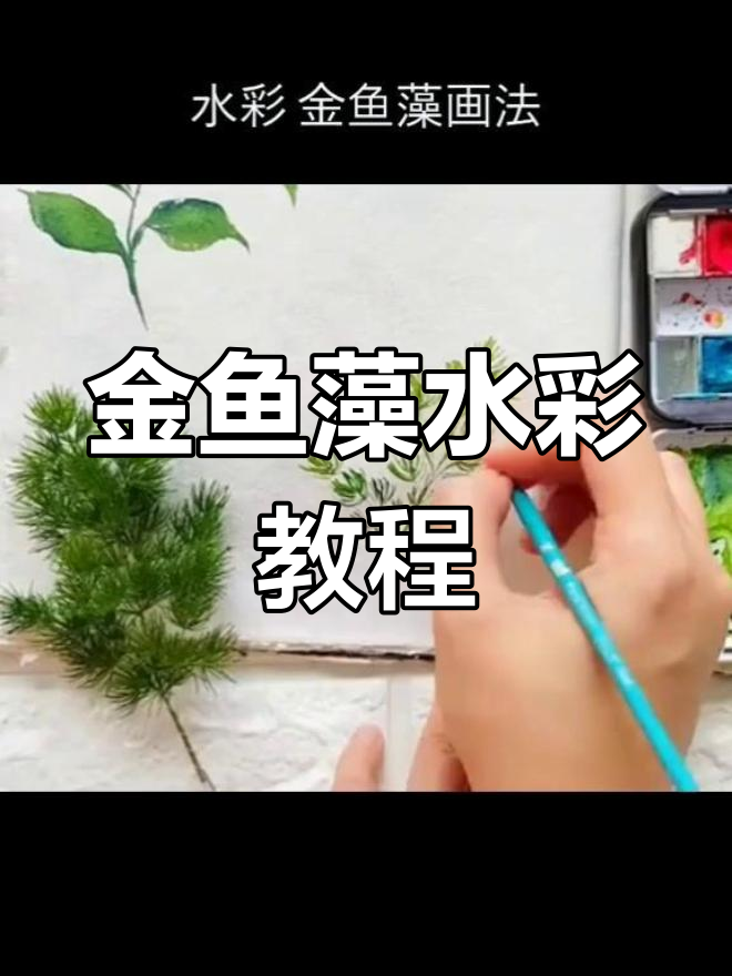 水彩画金鱼藻,简单步骤教你画出美丽植物