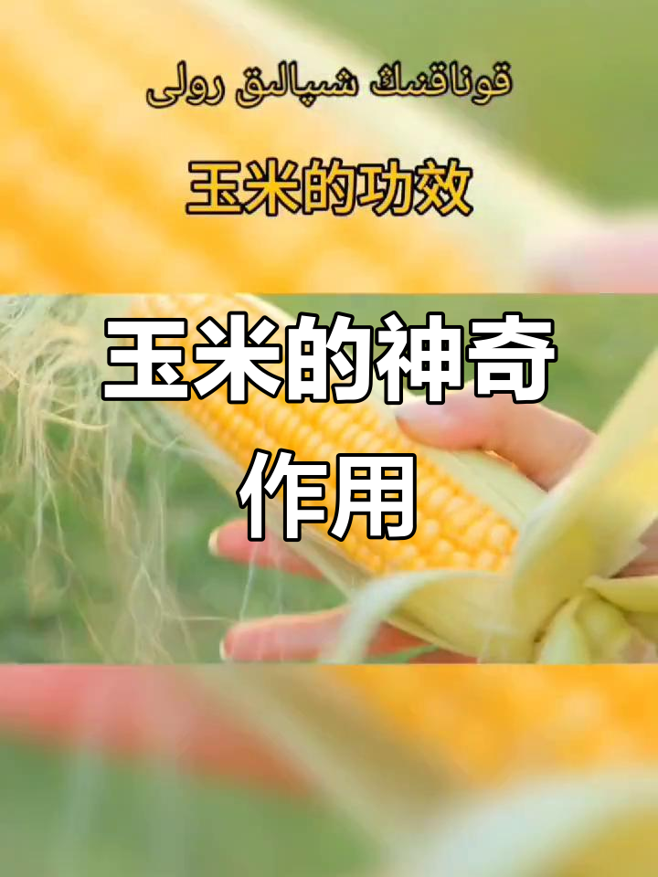 玉米的营养价值与健康功效,了解这些让你更爱它